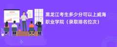 2024黑龙江考生多少分可以上威海职业学院（录取排名位次）