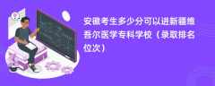 2024安徽考生多少分可以进新疆维吾尔医学专科学校（录取排名位次）