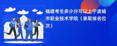 2024福建考生多少分可以上宁波城市职业技术学院（录取排名位次）