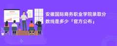 安徽国际商务职业学院2023录取分数线是多少（官方公布）