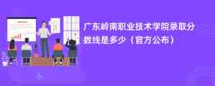 广东岭南职业技术学院录取分数线2023是多少「官方公布」