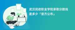 武汉民政职业学院2023录取分数线是多少「官方公布」