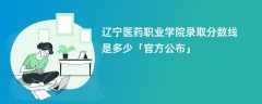 辽宁医药职业学院录取分数线2023是多少（官方公布）