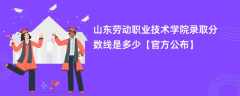 山东劳动职业技术学院录取分数线2023是多少「官方公布」