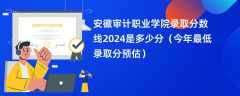 安徽审计职业学院录取分数线2024是多少分（今年最低录取分预估）