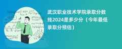 武汉职业技术学院录取分数线2024是多少分（今年最低录取分预估）