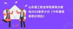 山东理工职业学院录取分数线2024是多少分（今年最低录取分预估）