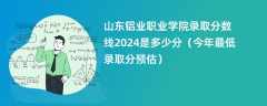 山东铝业职业学院录取分数线2024是多少分（今年最低录取分预估）