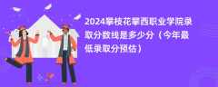 2024攀枝花攀西职业学院录取分数线是多少分（今年最低录取分预估）