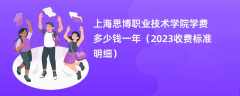 上海思博职业技术学院学费多少钱一年（2024收费标准明细）