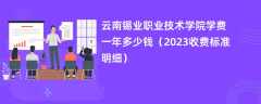 云南锡业职业技术学院学费一年多少钱（2024收费标准明细）