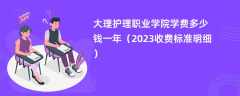 大理护理职业学院学费多少钱一年（2024收费标准明细）
