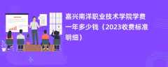 嘉兴南洋职业技术学院学费一年多少钱（2024收费标准明细）
