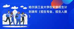 哈尔滨工业大学在安徽招生计划表2024年（招生专业、招生人数）