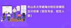 2024年山东大学威海分校在安徽招生计划表（招生专业、招生人数）