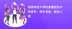 陕西师范大学在安徽招生计划表2024年：招生专业、招生人数