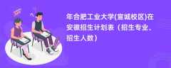 2024年合肥工业大学(宣城校区)在安徽招生计划表（招生专业、招生人数）