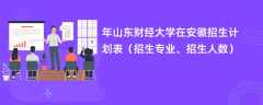 2024年山东财经大学在安徽招生计划表（招生专业、招生人数）