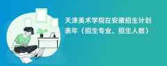 天津美术学院在安徽招生计划表2024年（招生专业、招生人数）