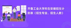 齐鲁工业大学2024年在安徽招生计划表（招生专业、招生人数）
