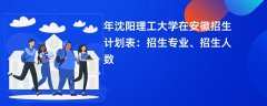 2024年沈阳理工大学在安徽招生计划表:招生专业、招生人数