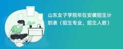 山东女子学院2024年在安徽招生计划表（招生专业、招生人数）