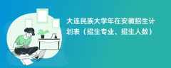 大连民族大学2024年在安徽招生计划表（招生专业、招生人数）