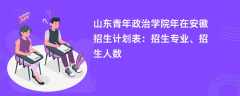 山东青年政治学院2024年在安徽招生计划表：招生专业、招生人数