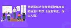 昆明医科大学海源学院2024年在安徽招生计划表（招生专业、招生人数）