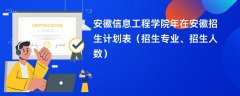 安徽信息工程学院2024年在安徽招生计划表(招生专业、招生人数)