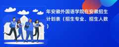 2024年安徽外国语学院在安徽招生计划表（招生专业、招生人数）