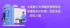 大连理工大学城市学院2024年在安徽招生计划表：招生专业、招生人数