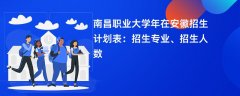 南昌职业大学2024年在安徽招生计划表：招生专业、招生人数