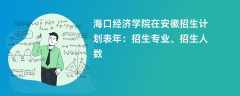 海口经济学院在安徽招生计划表2024年：招生专业、招生人数