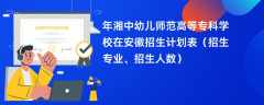 2024年湘中幼儿师范高等专科学校在安徽招生计划表（招生专业、招生人数）