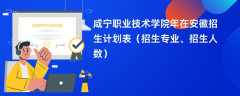咸宁职业技术学院2024年在安徽招生计划表（招生专业、招生人数）