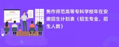 焦作师范高等专科学校2024年在安徽招生计划表（招生专业、招生人数）