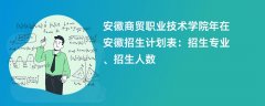 安徽商贸职业技术学院2024年在安徽招生计划表:招生专业、招生人数