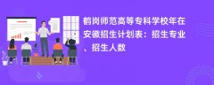 鹤岗师范高等专科学校2024年在安徽招生计划表:招生专业、招生人数