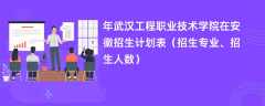 2024年武汉工程职业技术学院在安徽招生计划表（招生专业、招生人数）