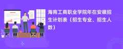 海南工商职业学院2024年在安徽招生计划表（招生专业、招生人数）