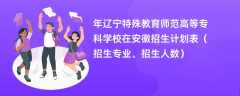 2024年辽宁特殊教育师范高等专科学校在安徽招生计划表（招生专业、招生人数）