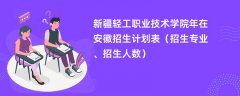 新疆轻工职业技术学院2024年在安徽招生计划表(招生专业、招生人数)