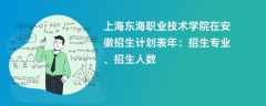 上海东海职业技术学院在安徽招生计划表2024年：招生专业、招生人数