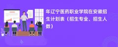 2024年辽宁医药职业学院在安徽招生计划表(招生专业、招生人数)