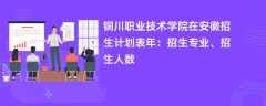 铜川职业技术学院在安徽招生计划表2024年：招生专业、招生人数