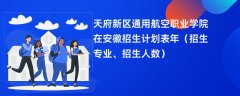 天府新区通用航空职业学院在安徽招生计划表2024年(招生专业、招生人数)