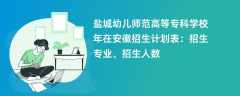 盐城幼儿师范高等专科学校2024年在安徽招生计划表：招生专业、招生人数