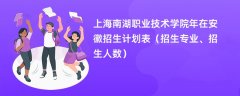 上海南湖职业技术学院2024年在安徽招生计划表(招生专业、招生人数)