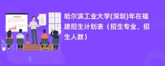 哈尔滨工业大学(深圳)2024年在福建招生计划表(招生专业、招生人数)